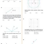 5.Sınıf Matematik Kasım Ayı Ara Tatil Ödev Fasikülü