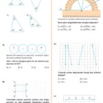 5.Sınıf Matematik Kasım Ayı Ara Tatil Ödev Fasikülü