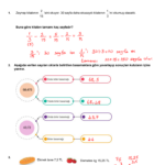 2024 - 2025 6.Sınıf Matematik 2. Dönem 1. Yazılı Soruları