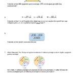 2024 – 2025 8.Sınıf Matematik 1.Dönem 2.Yazılı Soruları